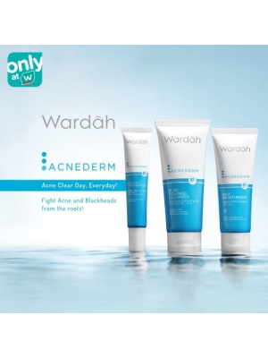 Wardah Skin Care Series
